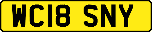 WC18SNY