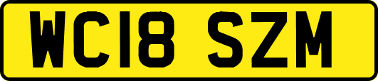 WC18SZM