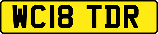 WC18TDR