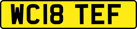 WC18TEF