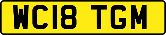 WC18TGM