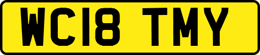 WC18TMY