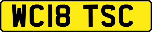 WC18TSC
