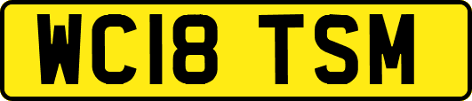 WC18TSM