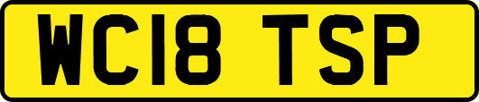 WC18TSP