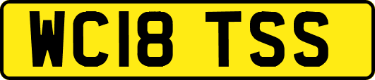 WC18TSS