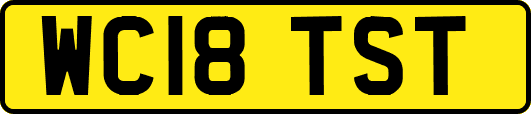 WC18TST