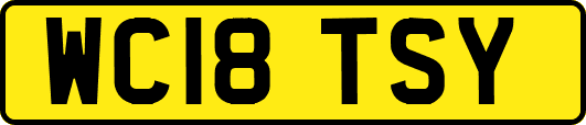 WC18TSY
