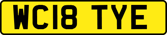 WC18TYE