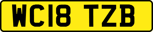 WC18TZB