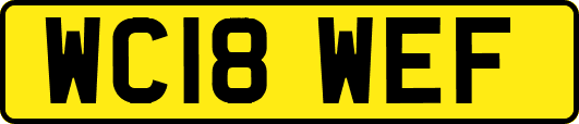 WC18WEF