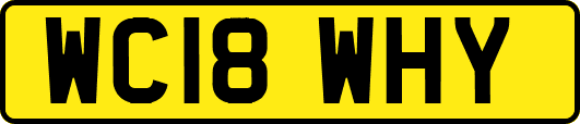 WC18WHY