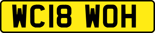 WC18WOH