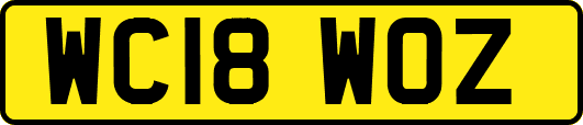 WC18WOZ