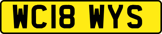 WC18WYS