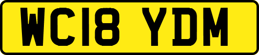 WC18YDM