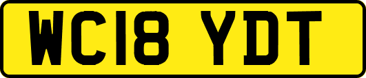 WC18YDT