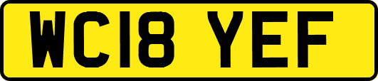 WC18YEF