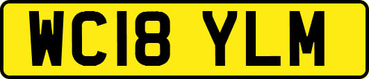 WC18YLM