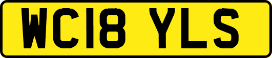 WC18YLS
