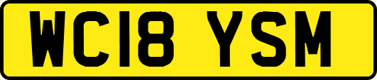 WC18YSM