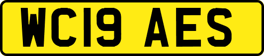 WC19AES