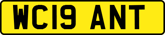 WC19ANT