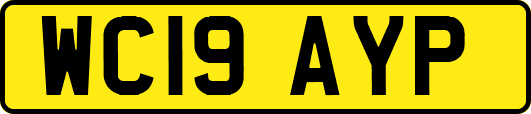 WC19AYP