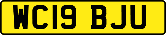 WC19BJU