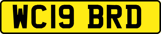 WC19BRD