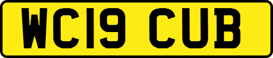 WC19CUB