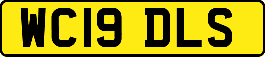 WC19DLS