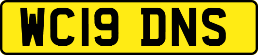 WC19DNS