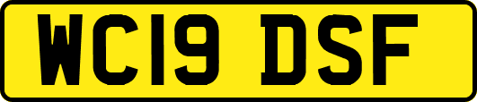 WC19DSF