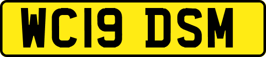 WC19DSM
