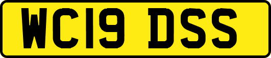 WC19DSS