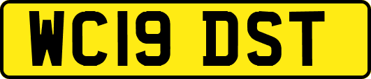 WC19DST