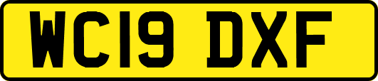 WC19DXF