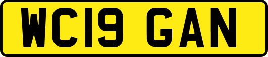 WC19GAN