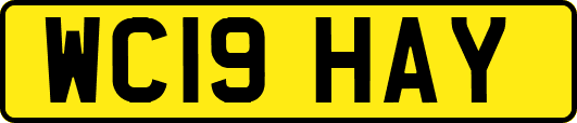 WC19HAY