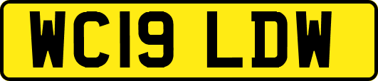 WC19LDW