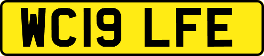 WC19LFE