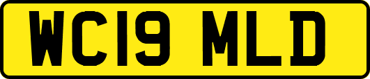 WC19MLD