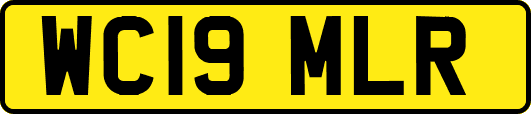 WC19MLR