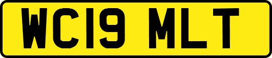 WC19MLT