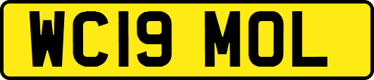 WC19MOL