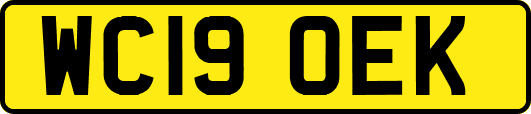 WC19OEK