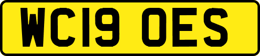 WC19OES