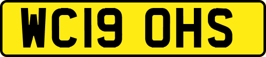 WC19OHS