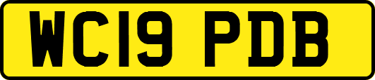 WC19PDB